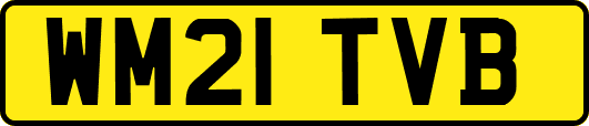 WM21TVB