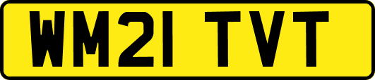 WM21TVT