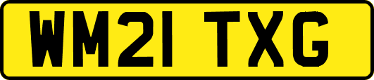 WM21TXG