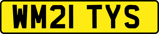 WM21TYS