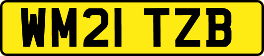 WM21TZB