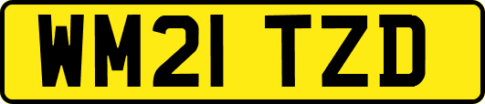 WM21TZD