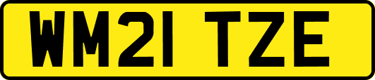 WM21TZE