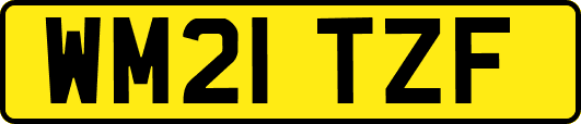 WM21TZF