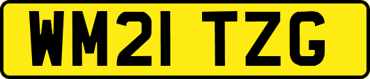 WM21TZG