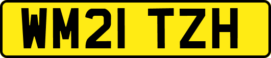 WM21TZH