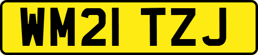 WM21TZJ