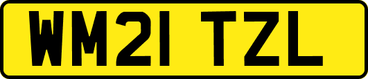 WM21TZL