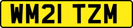 WM21TZM