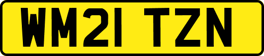 WM21TZN