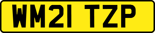 WM21TZP