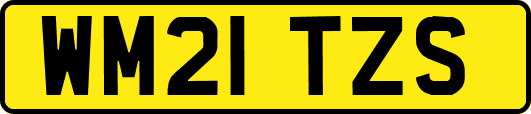 WM21TZS