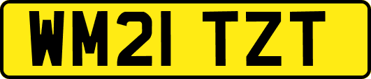 WM21TZT