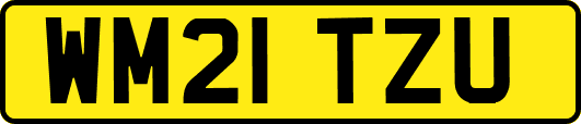 WM21TZU