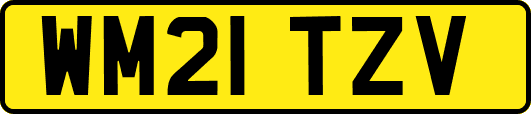 WM21TZV