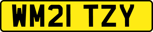 WM21TZY