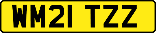 WM21TZZ