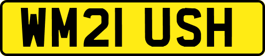 WM21USH