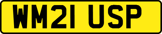 WM21USP