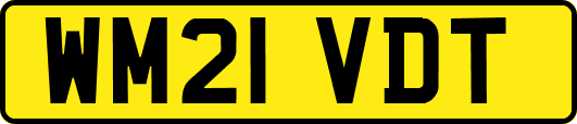 WM21VDT