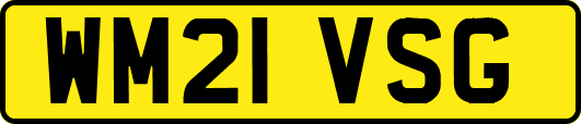WM21VSG
