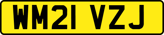 WM21VZJ