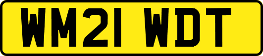 WM21WDT