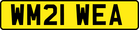 WM21WEA