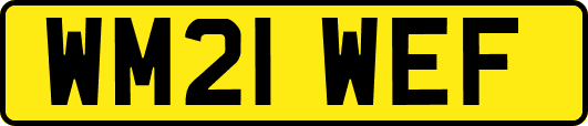 WM21WEF