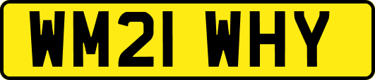WM21WHY