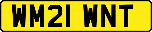 WM21WNT