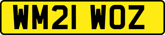 WM21WOZ