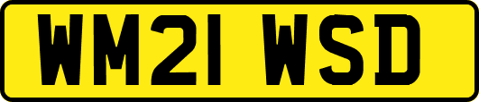 WM21WSD