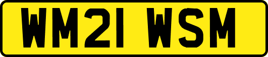 WM21WSM