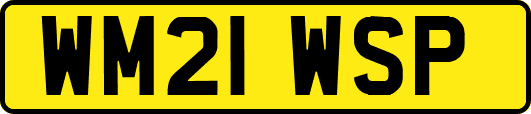 WM21WSP