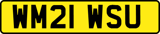 WM21WSU