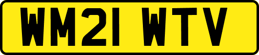 WM21WTV