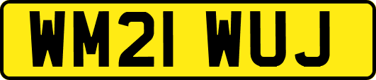 WM21WUJ