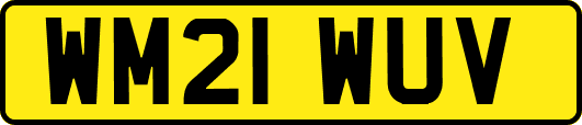 WM21WUV