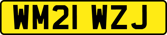 WM21WZJ