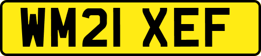 WM21XEF