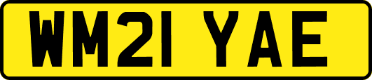 WM21YAE