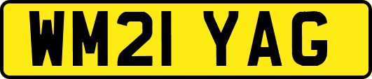WM21YAG