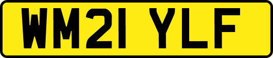 WM21YLF