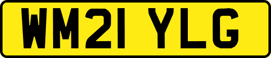 WM21YLG