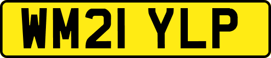 WM21YLP