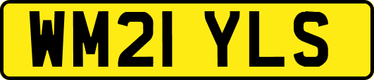 WM21YLS