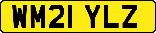 WM21YLZ
