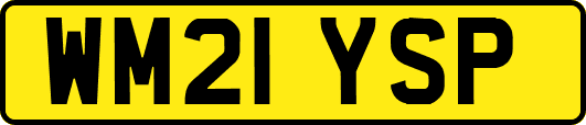WM21YSP