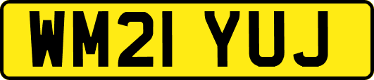 WM21YUJ
